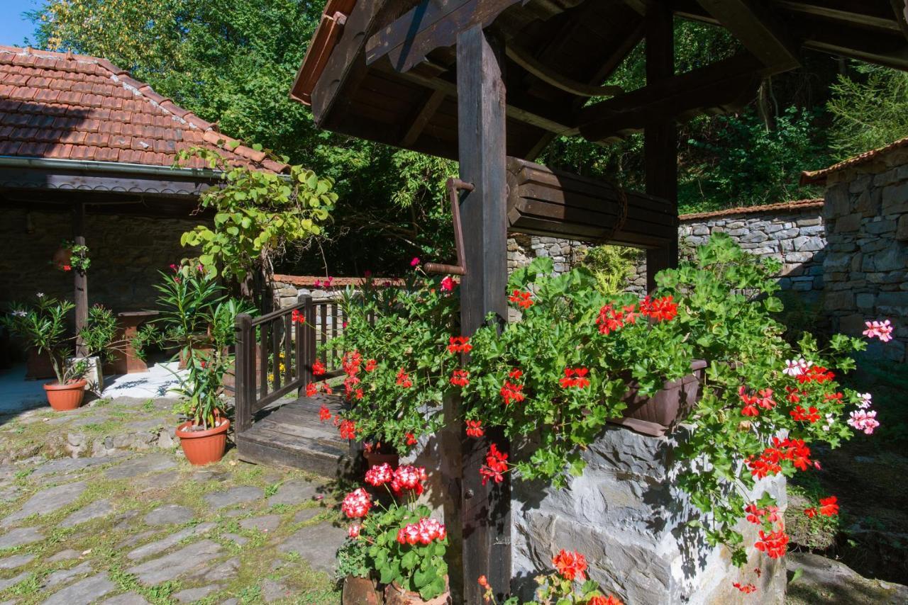 Family Hotel Bile Beli Osŭm エクステリア 写真