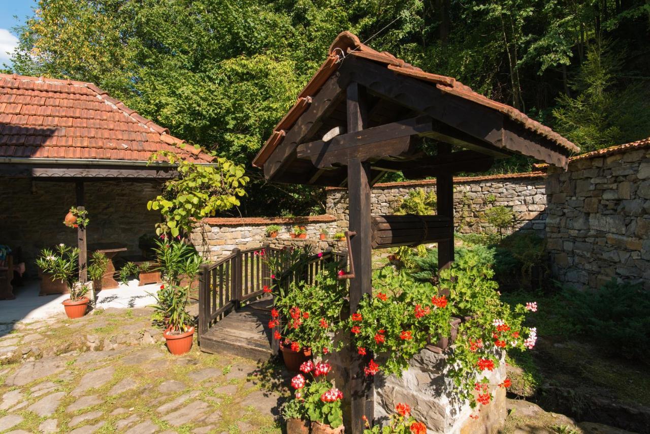 Family Hotel Bile Beli Osŭm エクステリア 写真